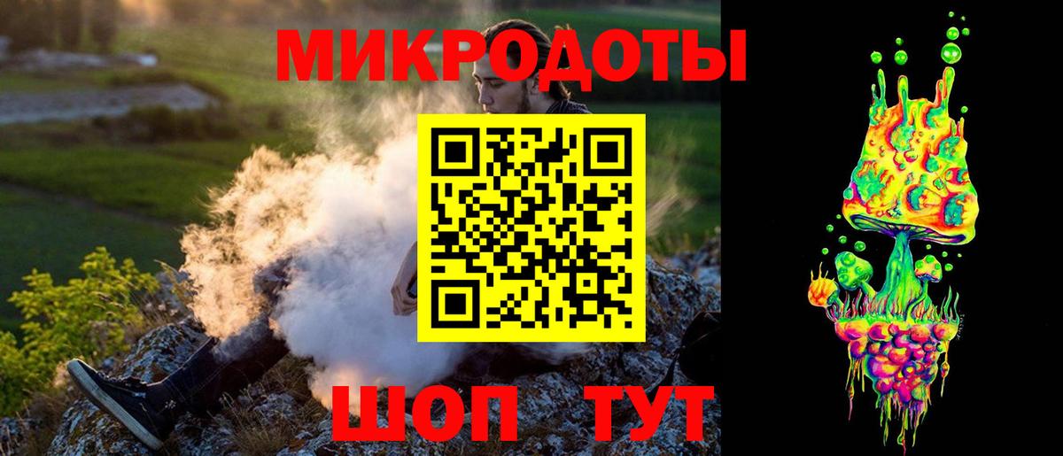 Галлюциногенные грибы Psilocybine cubensis Осинники